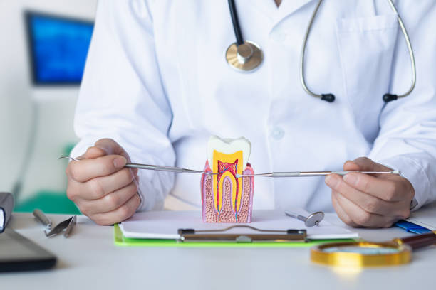 Best Emergency Dental Care for Broken or Chipped Teeth in Richmond, KY